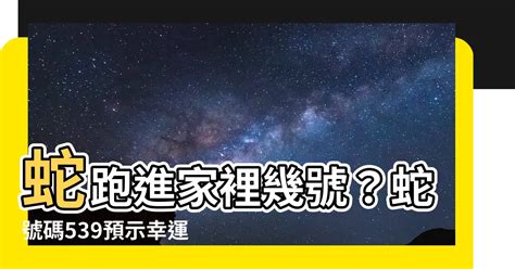 蛇跑進家裡幾號|【有蛇跑進家裡】驚！有蛇跑進家裡怎麼辦？掌握4個步驟，化險。